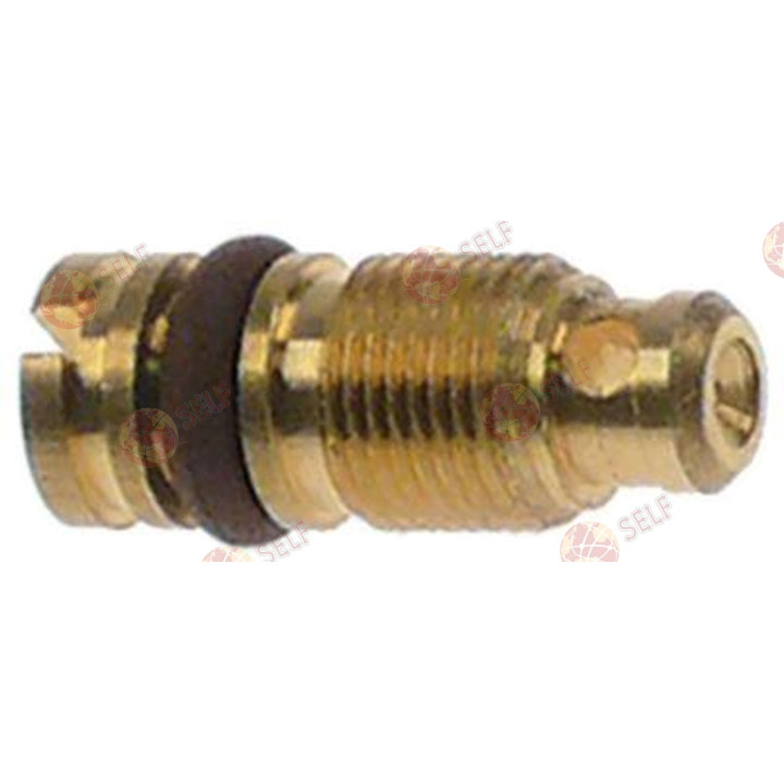baypas gaz nozulu M6x0,5 PEL22 0,40 mm delik - 9420025 | Self Endüstriyel Yedek Parça