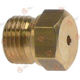 gaz enjektörü dişi M10x1 WS 12 iç çap ø 1,35 mm - 2360081 | Self Endüstriyel Yedek Parça