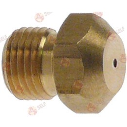 gaz enjektörü dişi M10x1 WS 12 iç çap ø 0,85 mm - 2360224 | Self Endüstriyel Yedek Parça
