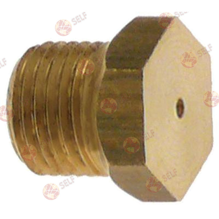 gaz enjektörü dişi M10x1 WS 12 iç çap ø 2,2 mm - 2360347 | Self Endüstriyel Yedek Parça