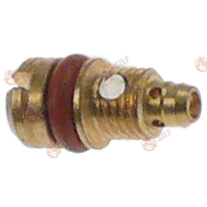 baypas gaz nozulu m4x0,5 delik 0,80 mm - 9420312 | Self Endüstriyel Yedek Parça