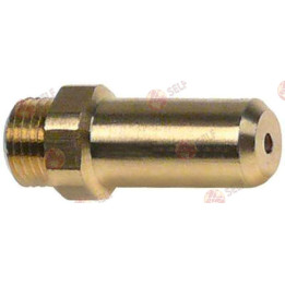 gaz enjektörü, M10x1 dişli, iç çap ø 1,2 mm, uzunluk 30 mm, WS 12 - 2360397 | Self Endüstriyel Yedek Parça