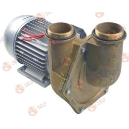 pump, inlet ø 2¼" outlet ø 2" type cf1402 230/400V 50Hz 3 phase 0,9kWl 360mm - 416465 | Self Endüstriyel Spare Part