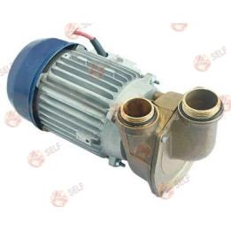 pompa, giriş çapı 1½" ve çıkış çapı 1½", tip 075HSPX, 230 V, 50 Hz, tek faz, 0,6 kW, 0,8 HP, L 315 mm - 416808 | Self Endüstriye