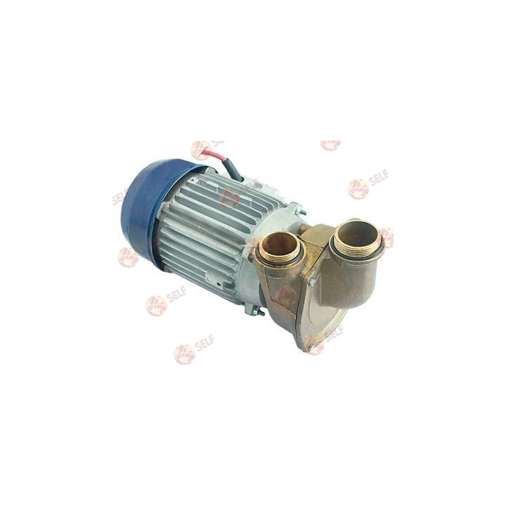 pompa, giriş çapı 1½" ve çıkış çapı 1½", tip 075HSPX, 230 V, 50 Hz, tek faz, 0,6 kW, 0,8 HP, L 315 mm - 416808 | Self Endüstriye