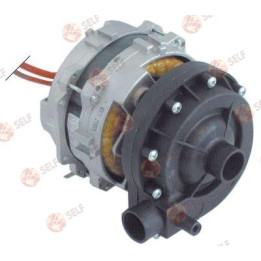 مضخة، مدخل قطر 30 مم، مخرج قطر 30 مم، طراز zf150sx، 230 فولت، 50 هرتز، أحادي الطور، 0,2 كيلوواط، 0,25 حصان، طول 170 مم - 416918 