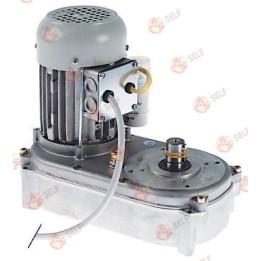 pul buz makinesi için dişli motor 220/240 V 50 Hz - 2048060 | Self Endüstriyel Yedek Parça