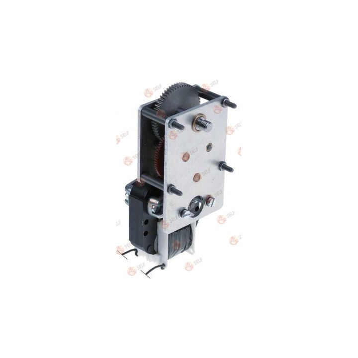 dişli motor 230 V - 2048076 | Self Endüstriyel Yedek Parça