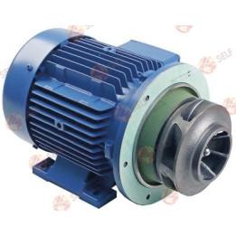 pompa, tip af90s/2f-12 230/400 V 50 Hz 3 faz 2 kW 2,7 hp L 330 mm - 417175 | Self Endüstriyel Yedek Parça