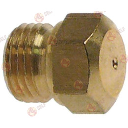 خيط حاقن الغاز M10x1 WS 11، قطر التجويف 0,85 مم، 3000 واط، ضغط غاز البترول المسال 30 مليبار - 2360288 | Self Endüstriyel