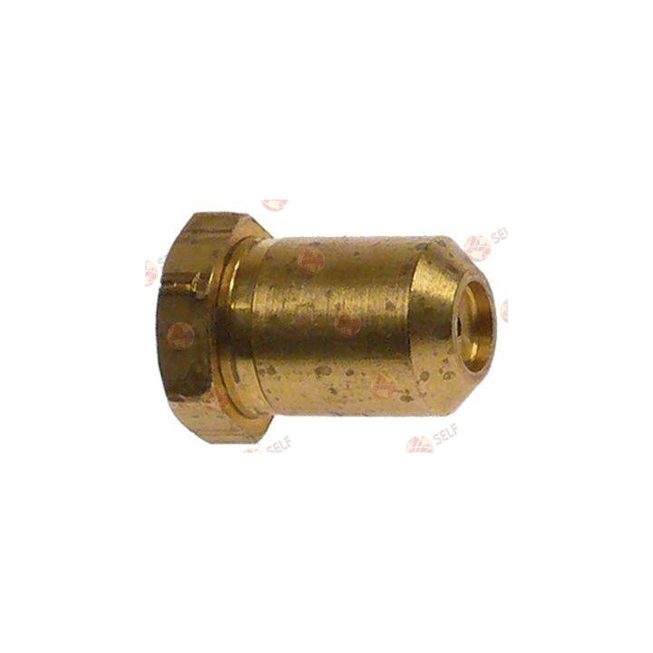 gaz enjektörü dişi M8 kod 55 WS 13 iç çap ø 1,24 mm uzunluk 18,5 mm doğal/sıvı gaz - 2360439 | Self Endüstriyel Yedek Parça