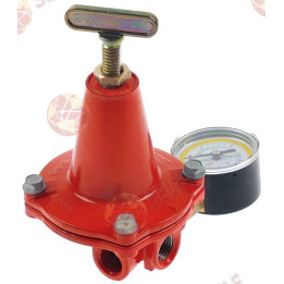lpg gas pressure regulator with pressure gauge apz120r type 1/4" floor - 1/4" - 1260002 | Self Endüstriyel Spare Part