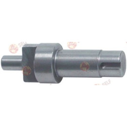 drive shaft ø 17mm D1 ø 25mm shaft diameter 10x23mm L 78mm Mod.12-22 - 3800558 | Self Endüstriyel Spare Part