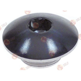 uç kapağı dişi M18x1 L 15 mm WS 8 krom kaplı pirinç - 3180359 | Self Endüstriyel Yedek Parça