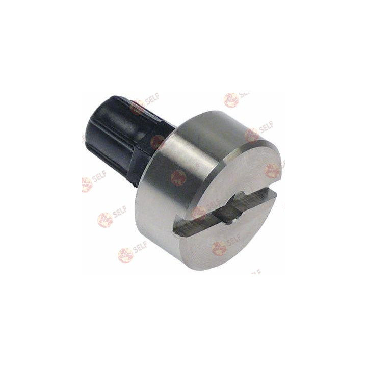 container filter straight SS hose ø 4x6mm L 50mm non return valve ball valve - 3620003 | Self Endüstriyel Spare Part