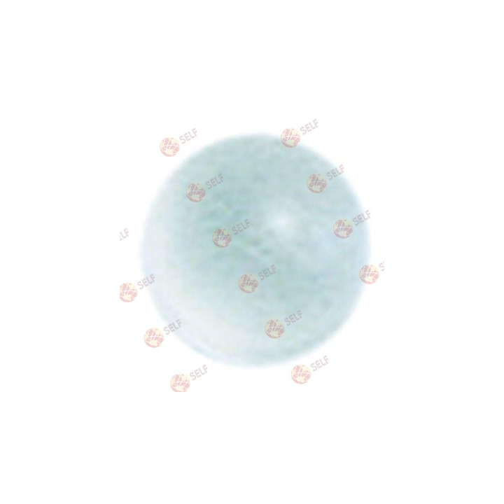 ball for type N5/N6 - 1000013 | Self Endüstriyel Spare Part
