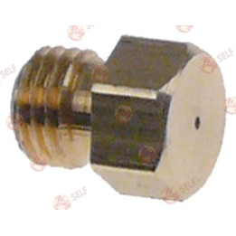 nozul deliği ø 0,6 mm L 4 mm diş M6x0,75 diş L 5 mm - 9420411 | Self Endüstriyel Yedek Parça