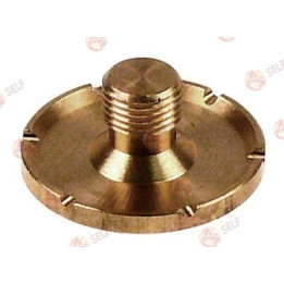 water dispersion ø 30mm hole ø 2mm H 14mm ET M10x1 notches 2mm brass 2 holes perforation ø 1,7mm - 1720145 | Self Endüstriyel Sp