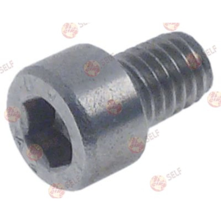 silindir kafası cıvatası, M6 dişli, uzunluk 8 mm, toplam uzunluk 14 mm, WS 5, paslanmaz çelik , emme tarafı altıgen - 4560919 | 