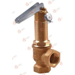 safety valve triggering pressure 0,5bar - 2640395 | Self Endüstriyel Spare Part