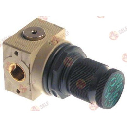 basınç kontrolörü Metal Work serisi Bit MRA bağlantı 1/4" ayar aralığı 0-8 bar p maks. 13 bar - 1240028 | Self Endüstriyel Yedek