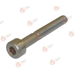 Silindir baş vida m4x30 - 4561465 | Self Endüstriyel Yedek Parça