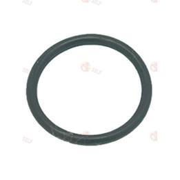 SAECO BUHAR ÇUBUĞU O-RİNGİ 02062 EPDM