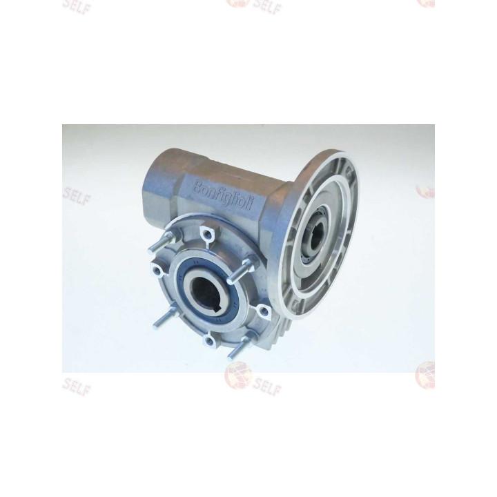 RIDUTT.GRAND.50 R1 10